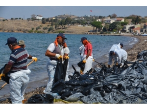 Foça’da Deniz Temizliği Devam Ediyor