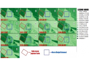 Kaçak Elektrik İle Sulanan Alanlar Rengini Böyle Belli Ediyor