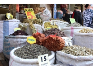 Şifalı Bitkiler Tehlike Arz Edebiliyor