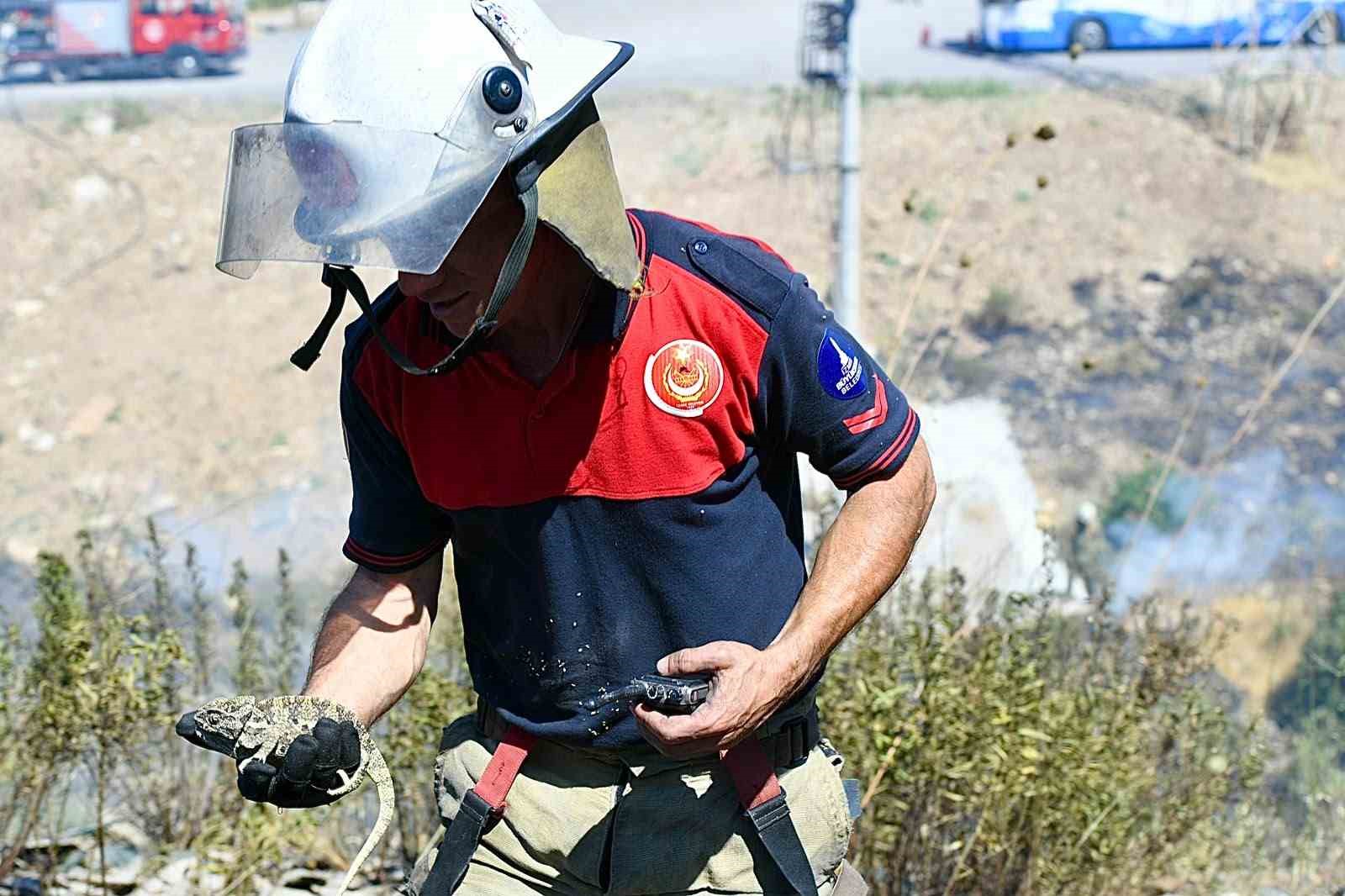 izmir-itfaiyesi-bukalemunu-hayata-dondurdu