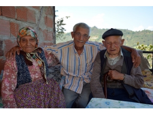 107’lik ’Çınar’