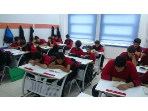 Yüzde 100 Ücretsiz, Duyanlar İnanamıyor