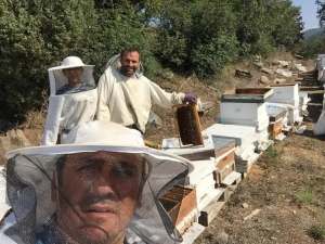 Emet’te Bal Üretimi Düştü