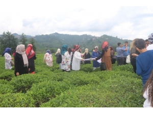 Mardinli Kadınlar Karadeniz Turunda