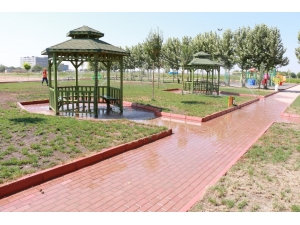 Suruç’ta Yeşillendirme Çalışmaları Sürüyor