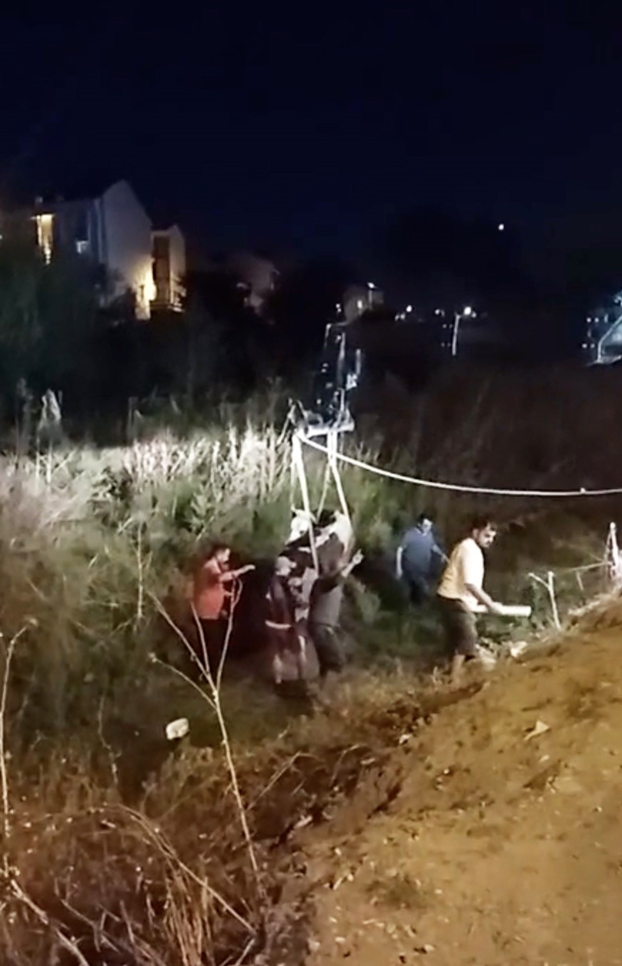 istanbul-da-is-makineli-inek-kurtarma-operasyonu