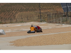 Siirt’te Kurulan 9 Milyon Avroluk Tesis İstihdamı Arttırdı