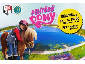 Midilli Atları Bilecikli Çocuklarla Buluşacak