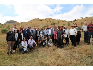 Yarım Asır Sonra, Köye Dönüş