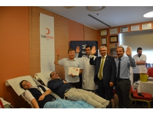 Kök Hücre Bağışı Etkinliği