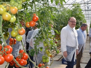 Jeotermal Seranın Açılışı Yapıldı