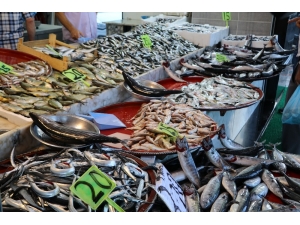 Rize’de Tezgahlarda Balık Bolluğu