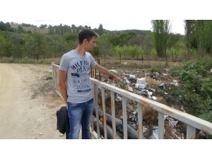 Kütahya’da Çevre Felaketi