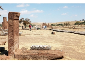 - Selçuklu Mezarlığında Yeşillendirme Çalışması Yapılacak