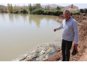 Kızılırmak’taki Balık Ölümleriyle İlgili İnceleme Başlatıldı