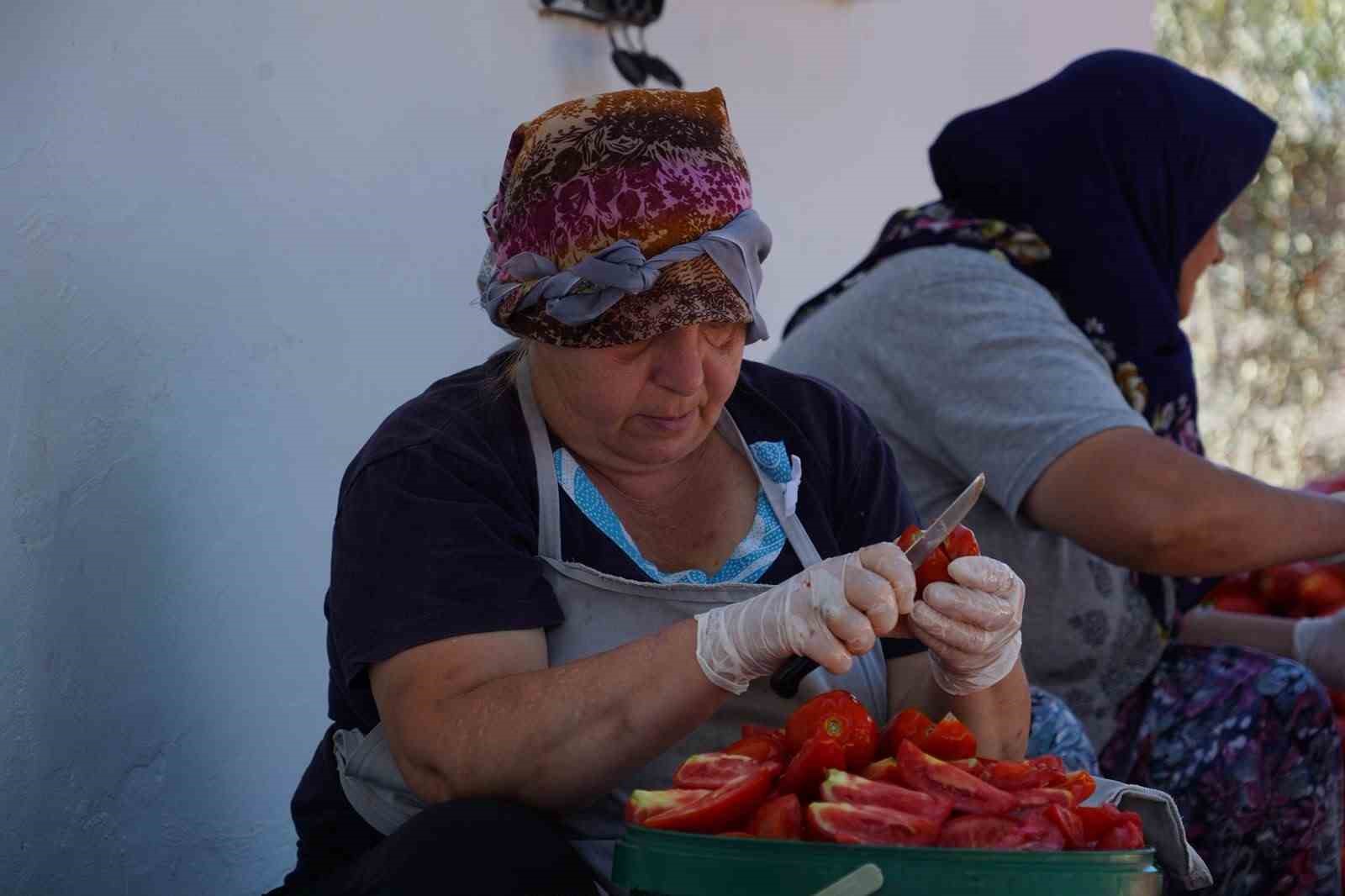 ayvalik-ta-gunes-ile-lezzet-bulusuyor