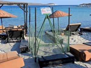 Çeşme’de İlk Defa Doğan Caretta Yavruları Denizle Buluştu