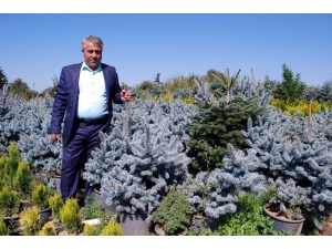 İstanbul Yeni Havalimanını Manisa’nın Fidanları Süsleyecek