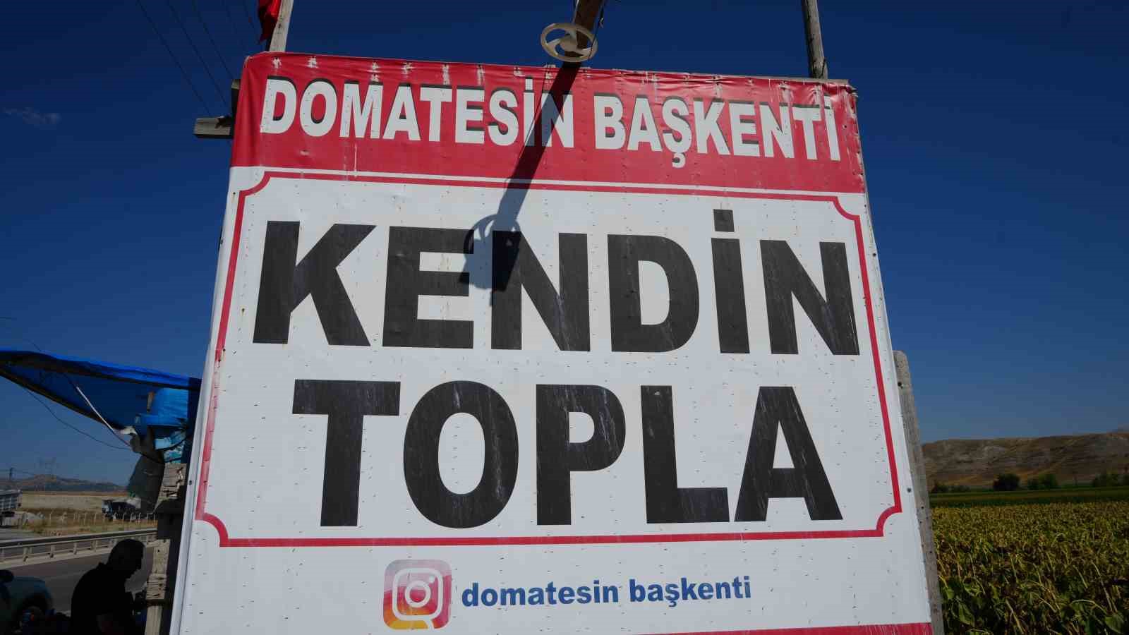 ayas-domatesi-hasadinda-yeni-donem-vatandas-tarlaya-gidip-kendi-topluyor