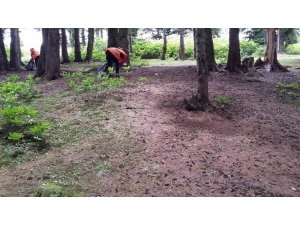 Giresun Yaylalarında Çöp Temizliği