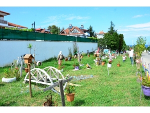 Devletin Yolunu Botanik Bahçesine Çevirdi