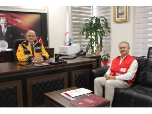 Lenfoma Hastalığında Kök Hücre Ve İlik Nakli Tedavisinin Önemi