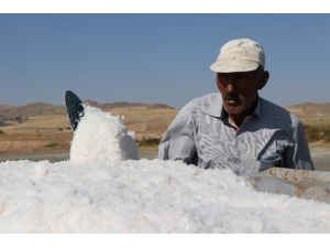 En ’Tuzlu’ Hayat