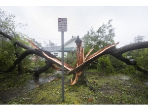 Florence Kasırgası 7 Can Aldı