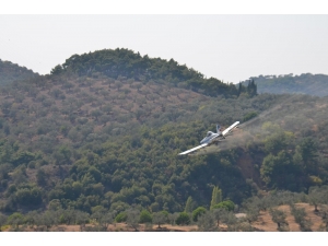 Balıkesir’de Büyükşehir Belediye İlaçlıyor, Zeytin Üretim Artıyor