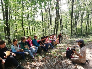 Doğa Kaşifleri Ormanya’da Buluştu
