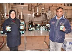 Girişimci Kadının Başarı Öyküsü