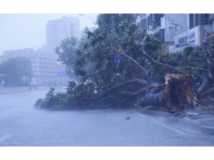 Mangkhut Tayfunu Çin’e Ulaştı: 2 Ölü