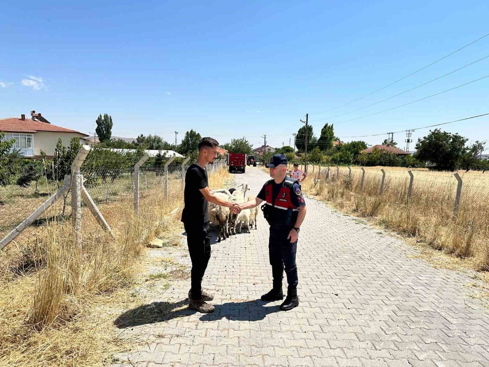 hayvanlari-kaybolan-ciftcinin-yardimina-jandarma-ekipleri-kostu