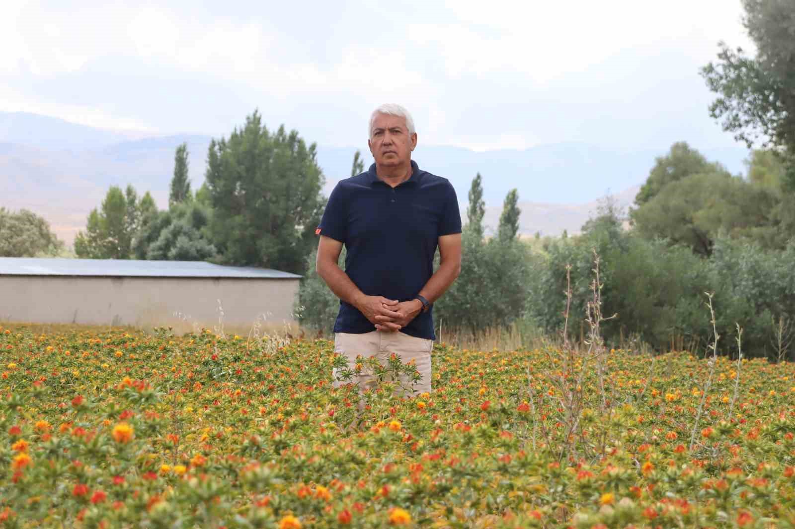 35-yil-kamuda-calisti-emekli-olunca-aspir-ekimine-basladi