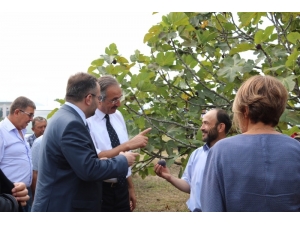 Tarım A.ş. Sayesinde Çiftçi Kazanacak