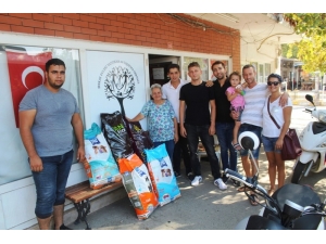 Chp’li Gençlerden Sokak Hayvanları İçin Örnek Çalışma