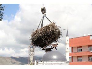 Sağlık Merkezindeki 54 Yıllık Leylek Yuvası Vinçle Taşındı