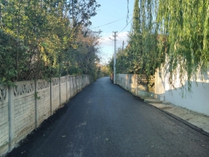 Düzce’de Asfaltlama Çalışmaları Aralıksız Devam Ediyor