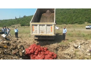 Kocaeli’de Uygunsuz Avlanan 266 Ton Deniz Mahsulü Yakalandı