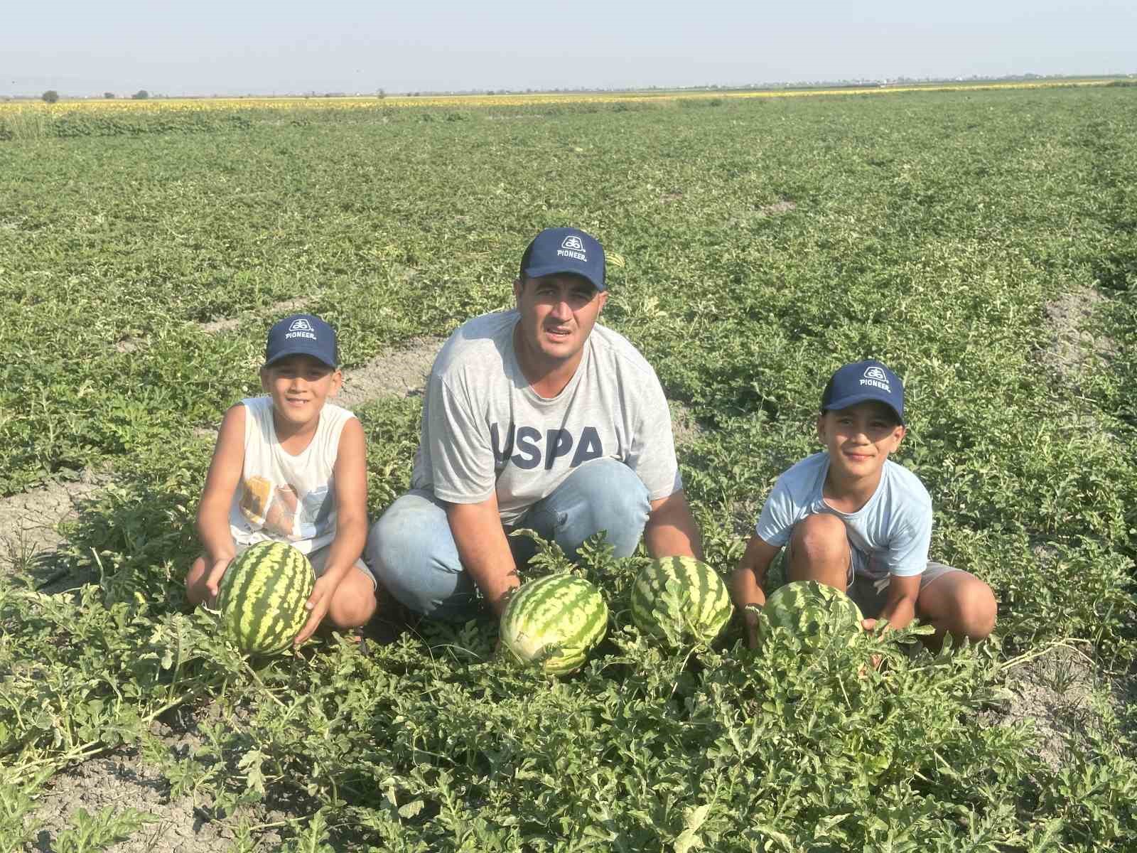 amik-ovasi-nda-ata-tohumuyla-uretimi-yapilan-karpuzda-bu-yil-rekolte-2-kattan-daha-fazla-artti