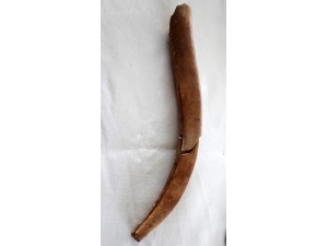 8 Bin 750 Yıllık Kemikten Yapılma Tarım Aleti Bulundu