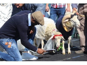 Sosyal Medya Fenomeni Koç Alex, Dünya Evine Girdi