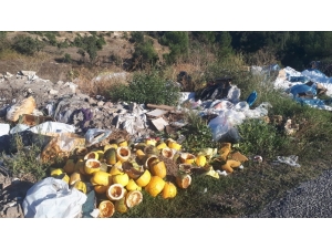 Yol Kenarına Dökülen Çöpler, Çevre Kirliliğine Sebep Oluyor