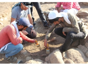 Bingöl’de Kültür Varlıkları Baraj Suyu Altında Kalmaktan Kurtarılıyor
