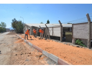 Bilecik Belediyesi’nden Asfalt Ve Kaldırım Çalışması