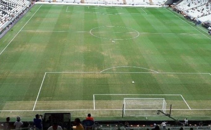 Beşiktaş'ta 22 Günlük Zemin Operasyonu!