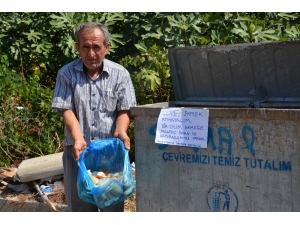 Sokak Hayvanları İçin 10 Yıldır Çöpten Ekmek Topluyor