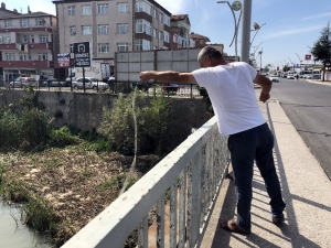 Alaplı’da "İsrail Sazanı" Avı Başladı