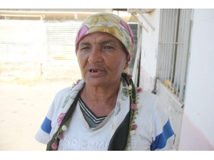 Bir Haftadır Sokaklarda Yaşıyor