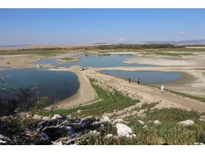 Sular Çekilince Adaya Yol Açıldı